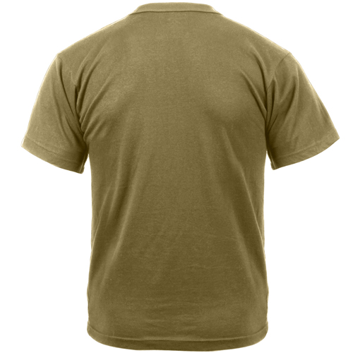 AR 670-1 Coyote T-Shirt