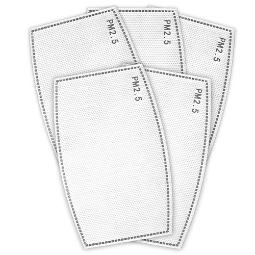 Replacement PM2.5 Filter - 5Pack 