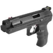 Beeman 2004 .177cal Single-Stroke Pneumatic Gun