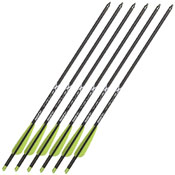 Crossbow Bolts TrueX