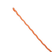 100 ft Military 750 Paracord