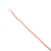 100 ft Military 750 Paracord