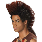 California Men's Indian Warrior Wig