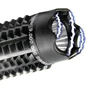 Streetwise Stun Gun Baton