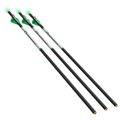 Crossbow 3pk Carbon Arrows 20-Inch