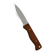 Condor Bushslore Fixed Blade Knife
