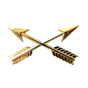 Army Special Operations Pin