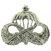 Eagle Emblem Wing Turkish Jump Pin - 1-5/8 Inch