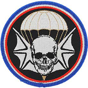 Patch-Army 502nd A/B Wid.