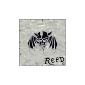 Fuzzy Dude Reeds Skull Black Winged