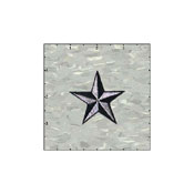 Star 3-D 2 Inches Silver And Black Patch