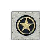 Star In Circle 3 Inches Gold On Black Patch