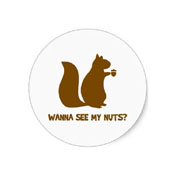 Wanna See My Nuts Sticker