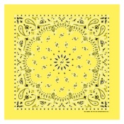 Cotton Trainmen Bandana