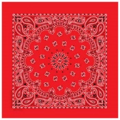 Cotton Trainmen Bandana