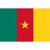 Country Flag - Cameroon