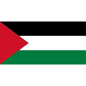 Country Flag - Palestine