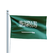 Country Flag - Saudi Arabia