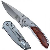Spring Assisted Folding Knife