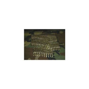 M249 223 Silver Bullet Belt With Silver Tips Silver Links