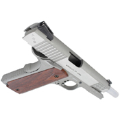 Swiss Arms SA1911 TRS Blowback BB gun