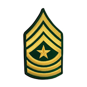 Patch Army E9 SGT Major Pair Dress Green