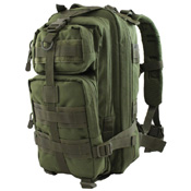 Raven X 25L Compact Assault Backpack