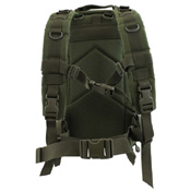 Raven X 25L Compact Assault Backpack