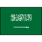 Flag Printed Patch - Saudi Arabia