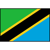 Flag Printed Patch - Tanzania