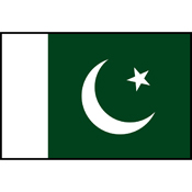 Flag Printed Patch - Pakistan