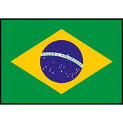 Flag Printed Patch - Brazil