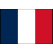 Flag Printed Patch - France