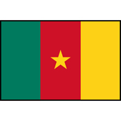 Flag Printed Patch - Cameroon