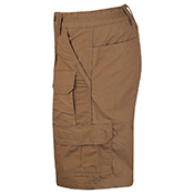 Raven X Strategic Short