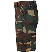 Raven X Strategic Short