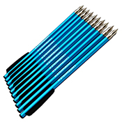 Steambow AR Aluminium Target Arrows - 10pcs