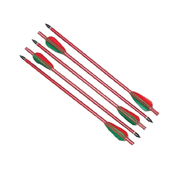 Crossbow Arrows BKCB25 150 LB 5 PC