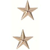 Brigadier General Insignia Stars