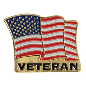 Veteran US Flag Pin