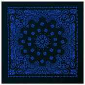 Trainmen Bandana