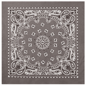 Cotton Trainmen Bandana