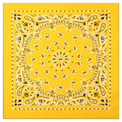 Trainmen Bandana