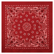 Cotton Trainmen Bandana