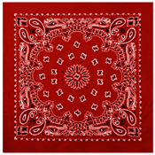 Large Trainmen Bandana 27 Inch