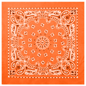 Trainmen Bandana
