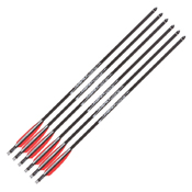 Umarex AirSaber Carbon Fiber 6 Pcs Arrow