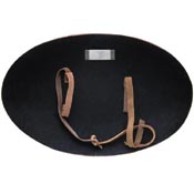 Game of Thrones Shield of Lannister